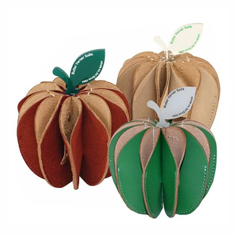 Butler Verner Sails　トコヌメアップルペンケース　（JW-2358‐33）